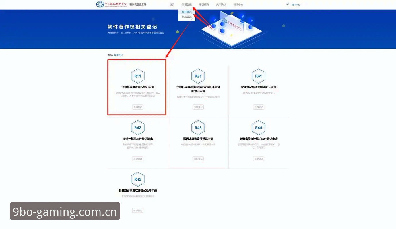 九博体育平台登录入口实用指南：从注册到畅玩的关键操作